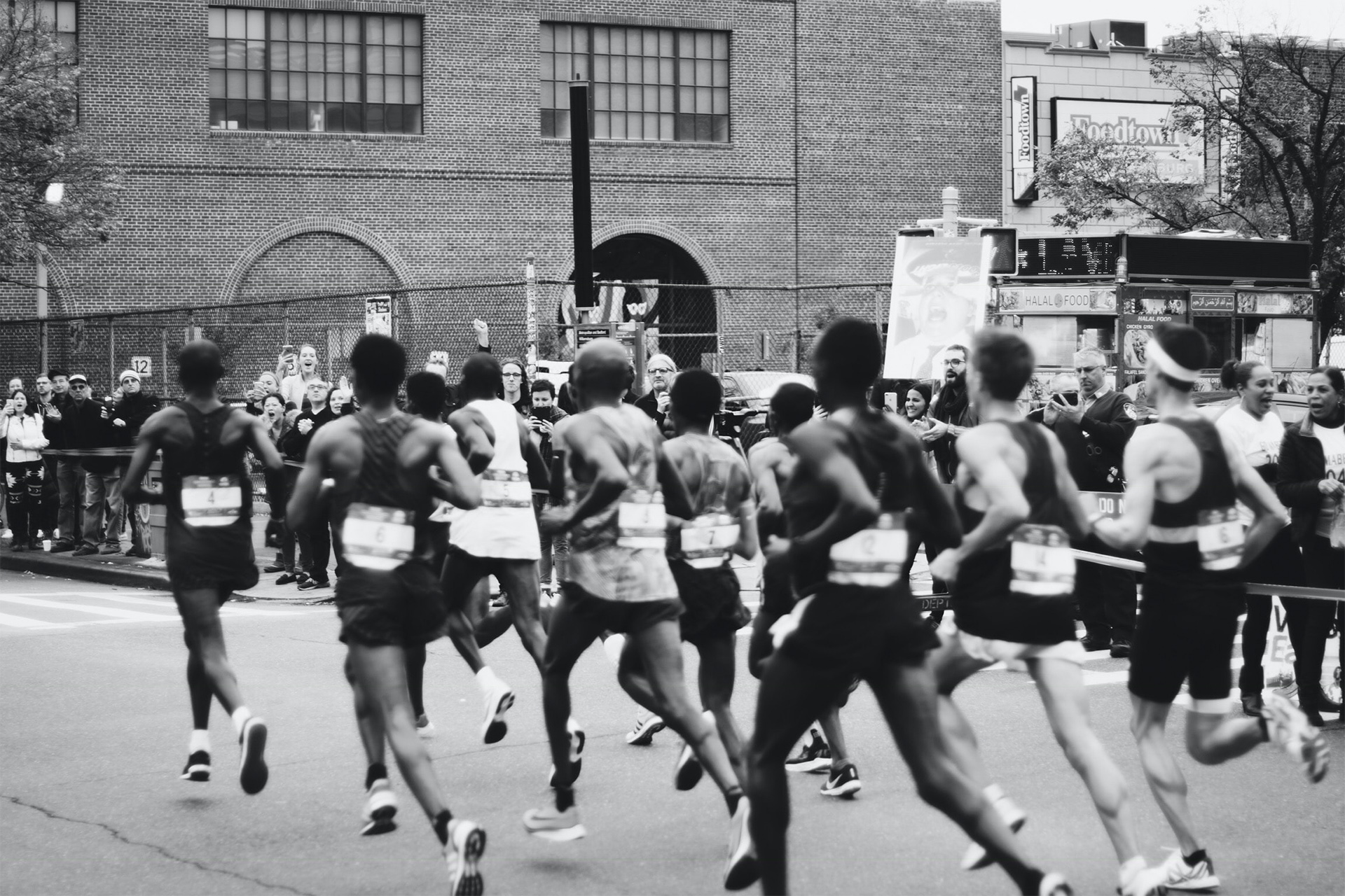 Race Organizer by Arsi Collective